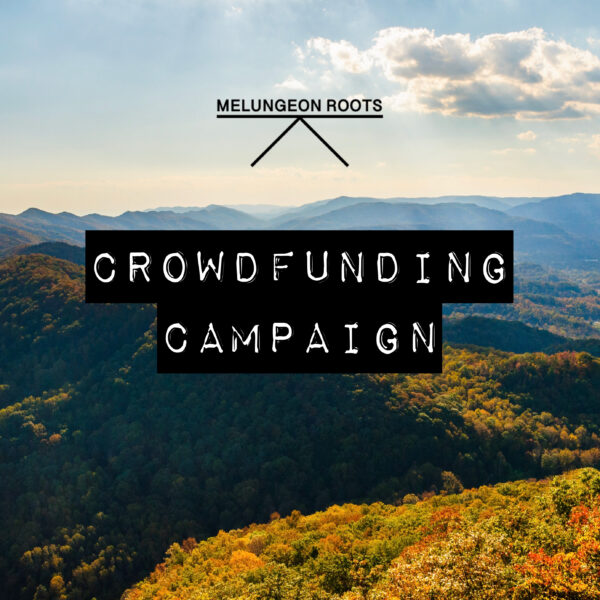 Crowdfunding Campaign